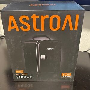 Black Mini Fridge 4L